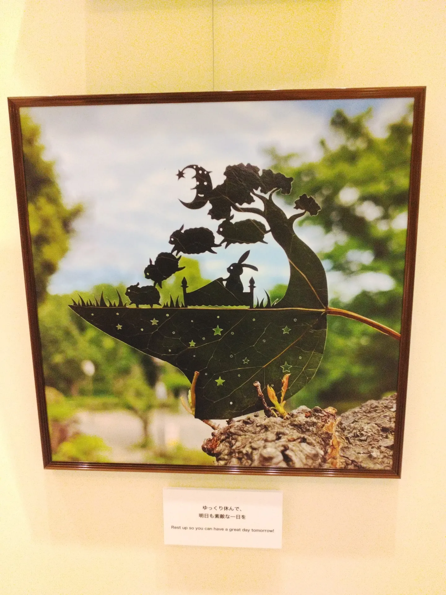 葉っぱ切り絵からの癒し🍂